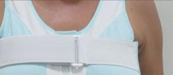 250_STERNA BRA 2.jpg